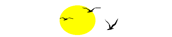 gerhards-vogelwelt.at